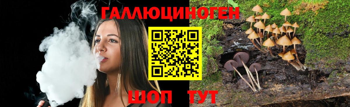 Псилоцибиновые грибы прущие грибы Лесосибирск