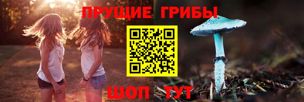 Лесосибирск  закладки  Вход с VPN  Галлюциногенные грибы Psilocybe 